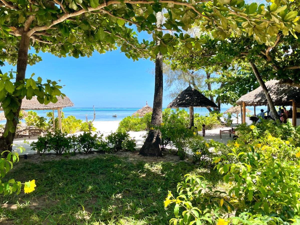 Poa Poa Bungalows Kiwengwa  Esterno foto